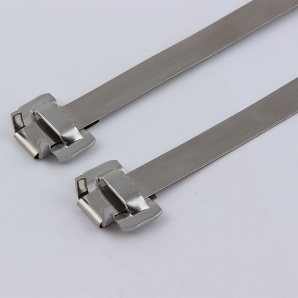 E Type Buckle stainless steel ties
